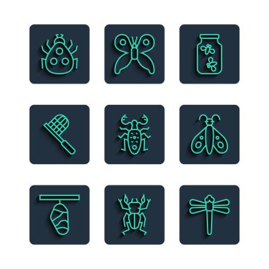 Set line Butterfly cocoon Beetle deer Dragonfly Fireflies bugs in jar net Ladybug and icon. Vector.