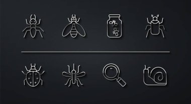 Set line Ant Mite Beetle bug Magnifying glass Mosquito Snail and Fireflies bugs jar icon. Vector.