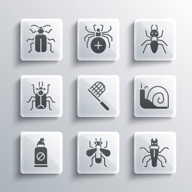 Set Insect fly Termite Snail Butterfly net Spray against insects Beetle bug Chafer beetle and Ant icon. Vector.