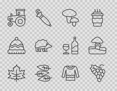 Set line Leaf or leaves Grape fruit Mushroom Tractor Hedgehog Sweater and icon. Vector.