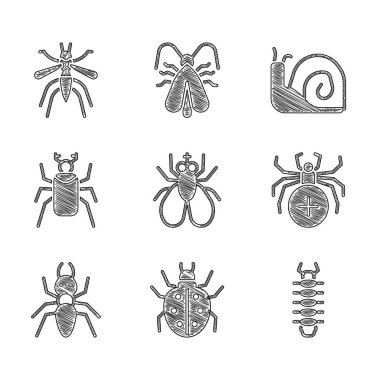 Set Insect fly Mite Centipede Spider Ant Beetle bug Snail and Mosquito icon. Vector.