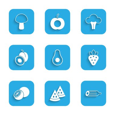 Avokado meyvesiyle taze salatalık turuncu erik brokoli ve mantar ikonu hazırla. Vektör.