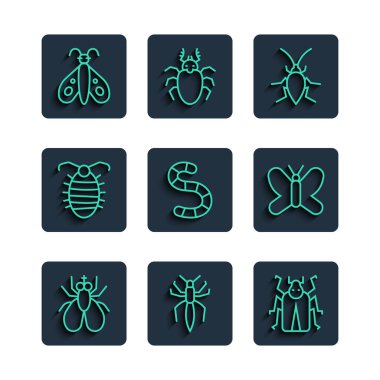 Haşere sineği, Hamamböceği, Böcek, Böcek, Böcek, Böcek, Böcek, Kelebek ve ikon. Vektör.