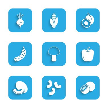 Portakallı mantar, elma, salatalık, erik ve pancar ikonu. Vektör.