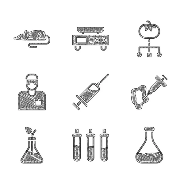 Set Jeringa Botella Reactivo Tubo Ensayo Matraz Asistente Laboratorio Fitomejoramiento — Vector de stock