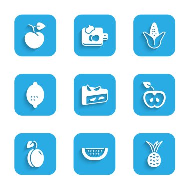 Ev yapımı meyve turtası karpuzlu ananaslı elma erikli limonlu mısır ve şeftalili nektarin ikonu. Vektör.