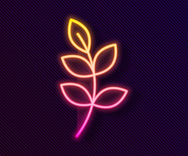 Parlayan neon çizgisi Willow yaprağı simgesi siyah arkaplanda izole edildi. Vektör.
