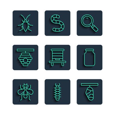 Hamamböceği ve Cam kavanoz ikonu için Kırkayak Kelebek Büyüteç Kovanını ayarla. Vektör.