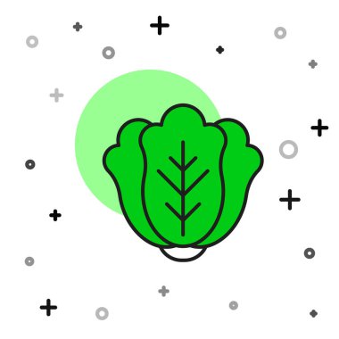 Filled outline Fresh cabbage vegetable icon isolated on white background. Vector.