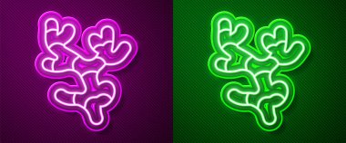 Parlayan neon çizgisi Ginger kökü simgesi mor ve yeşil arkaplanda izole edilmiş. Vektör.