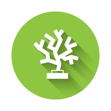 Beyaz Mercan simgesi uzun gölge arkaplan izole. Yeşil daire düğmesi. Vektör.