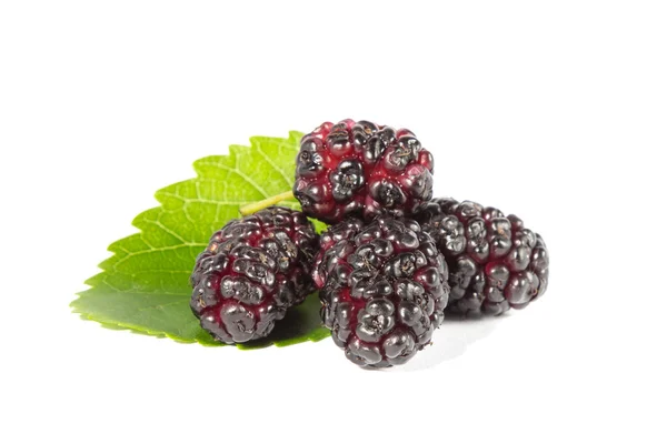 Mulberries — Stock Photo, Image