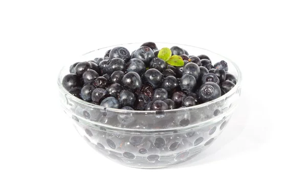 Blueberries in the bowl — Stock Photo, Image