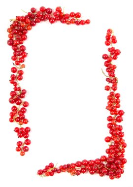 Frenk üzümü çerçeve