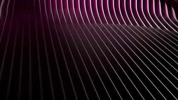 Абстрактный Минимальный Темно Розовый Фон Изогнутыми Линиями — стоковое видео