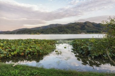 Dumulmeori. Bu da sonbaharda iki nehir manzarası çekildiği anlamına geliyor. Yangpyeong, Güney Kore