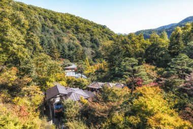 Hwadam Botanik Bahçesi tren istasyonu ve raylı tren. 17 Ekim 2021 'de Güney Kore, Gwangju' da çekildi.