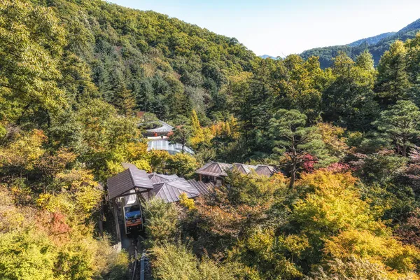 Hwadam Botanic Garden Monorail Station Monorail Train Taken Gwangju South — Stock Photo, Image