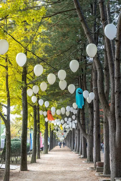 Carril Central Pino Coreano Con Decoraciones Halloween Lámparas Colgantes Tomadas — Foto de Stock