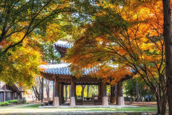 Pavilhão Coreano Tradicional Cercado Por Folhas Outono Tomado Nami Island — Fotografia de Stock