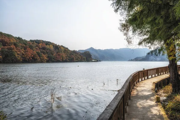 Vista Lago Cheongpyeong Tirada Ilha Nami Com Trilha Deck Madeira — Fotografia de Stock