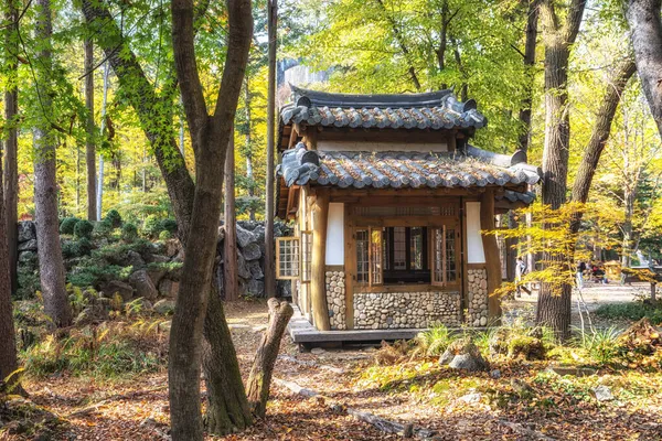 Pavilhão Coreano Tradicional Cercado Por Folhas Outono Tomado Nami Island — Fotografia de Stock