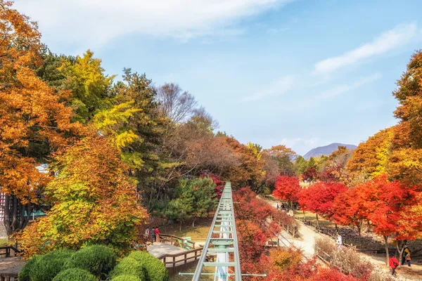 Nami Island Sky Bike Rail Nami Island Corea Del Sur — Foto de Stock