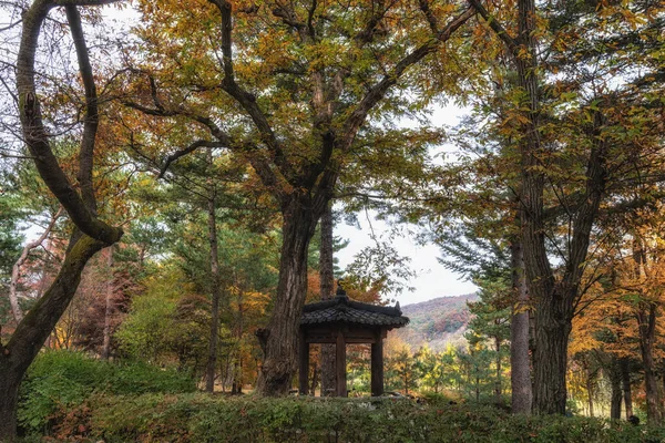 Pavilhão Coreano Tradicional Cercado Por Folhas Outono Tomado Nami Island — Fotografia de Stock