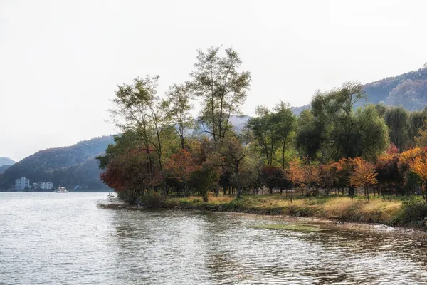 Vue Lac Cheongpyeong Prise Île Nami Avec Sentier Bois Pris — Photo