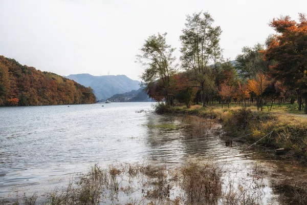 Vue Lac Cheongpyeong Prise Île Nami Avec Sentier Bois Pris — Photo