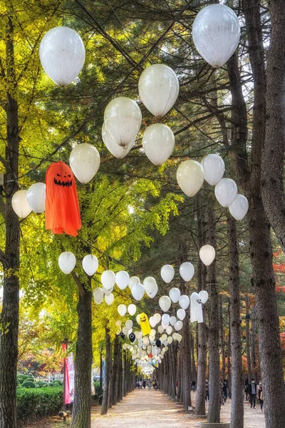 Pista Pinheiros Coreanos Centrais Com Decorações Halloween Lâmpadas Penduradas Tomadas — Fotografia de Stock