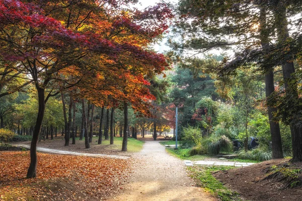 Bosque Seúl Paisaje Otoño Tomada Seúl Corea Del Sur — Foto de Stock