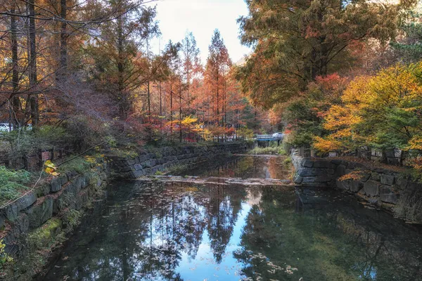 Jangtaesan Recreational Forest Autumn Foliage Colors Stream Taken Daejeon South — Stock Photo, Image