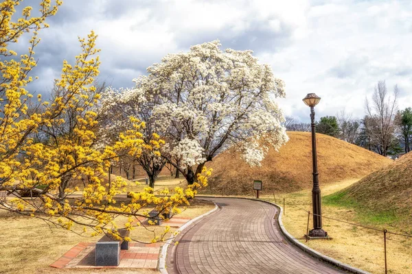 Complejo Tumbas Daereungwon Gyeongju Corea Del Sur Tomada Con Flores — Foto de Stock