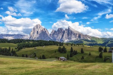 Arka planda langkofel dağları olan Alpe di siuss ya da Seiser Alpine Alpine Meadows manzaralı. Dolomitler, İtalya 'da çekilmiştir.