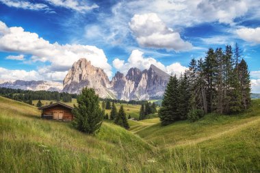 Arka planda langkofel dağları olan Alpe di siuss ya da Seiser Alpine Alpine Meadows manzaralı. Dolomitler, İtalya 'da çekilmiştir.