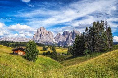 Arka planda langkofel dağları olan Alpe di siuss ya da Seiser Alpine Alpine Meadows manzaralı. Dolomitler, İtalya 'da çekilmiştir.