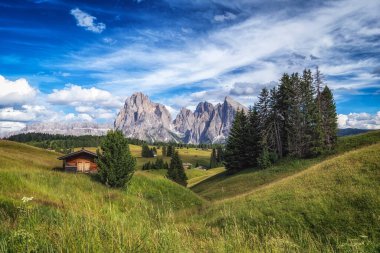 Arka planda langkofel dağları olan Alpe di siuss ya da Seiser Alpine Alpine Meadows manzaralı. Dolomitler, İtalya 'da çekilmiştir.