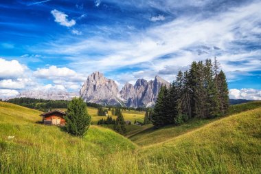 Arka planda langkofel dağları olan Alpe di siuss ya da Seiser Alpine Alpine Meadows manzaralı. Dolomitler, İtalya 'da çekilmiştir.