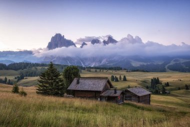 Alpe di siuss ya da Seiser Alpine Alpine Meadows arka planda langkofel dağları ile gündoğumu görüntüsü. Dolomitler, İtalya 'da çekilmiştir.