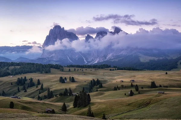 Alpe Siuss Seiser Alm Alpine Meadows Sunrise View Langkofel Mountains — Foto Stock