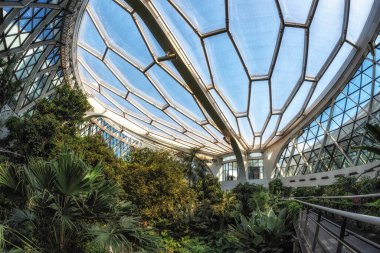 Çeşitli bitki ve bitkilerle sergilenen ana konservatuar binası. Seul, Güney Kore 'deki Seul Botanik Parkı' nda çekilmiş.