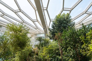 Çeşitli bitki ve bitkilerle sergilenen ana konservatuar binası. Seul, Güney Kore 'deki Seul Botanik Parkı' nda çekilmiş.