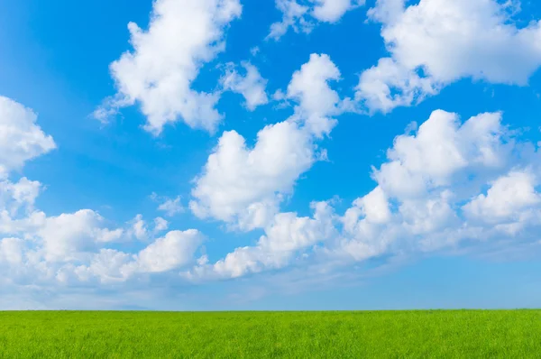 Пейзаж зелене поле і блакитне небо — стокове фото
