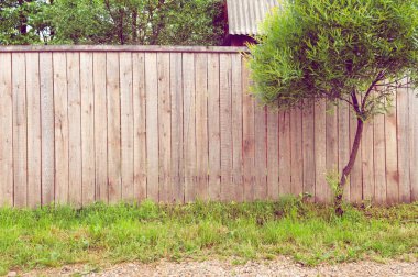 clôture en bois rustique de fond avec l'herbe verte, des routiers et des arbres
