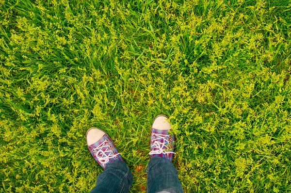 Vivid background sneakers on grass — Stock Photo, Image