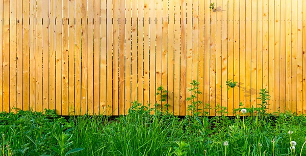 Background rustic wooden fence with thick green grass — Stock Photo, Image