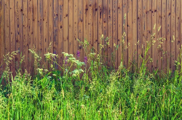 背景空白の木製のフェンス垂直背の高い草の生い茂った — ストック写真