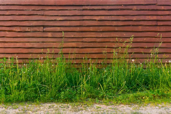 Background blank wooden fence overgrown with tall grass near foo — Stock Photo, Image