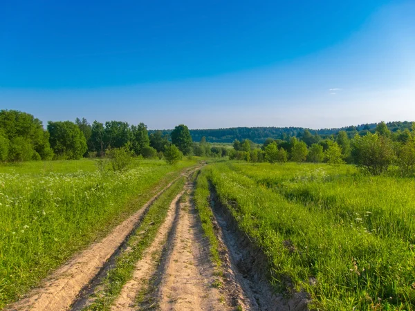 Achtergrond pittoreske landschap groene veld blauwe hemel en breed c — Stockfoto